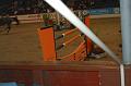 Team Trophy 2008245